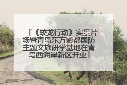 《蛟龙行动》实景片场暨青岛东方影都国防主题文旅研学基地在青岛西海岸新区开业