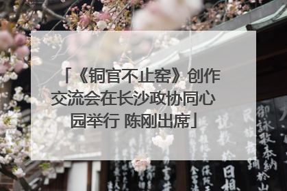 《铜官不止窑》创作交流会在长沙政协同心园举行 陈刚出席