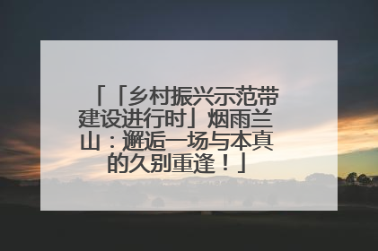 「乡村振兴示范带建设进行时」烟雨兰山：邂逅一场与本真的久别重逢！