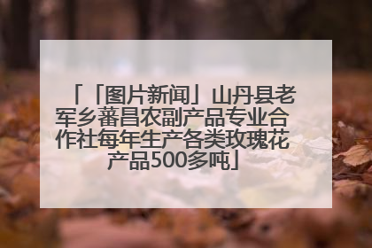 「图片新闻」山丹县老军乡蕃昌农副产品专业合作社每年生产各类玫瑰花产品500多吨