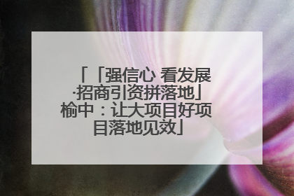 「强信心 看发展·招商引资拼落地」榆中：让大项目好项目落地见效