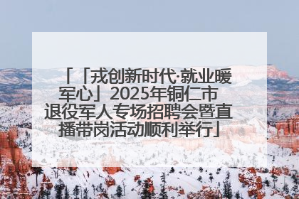 「戎创新时代·就业暖军心」2025年铜仁市退役军人专场招聘会暨直播带岗活动顺利举行