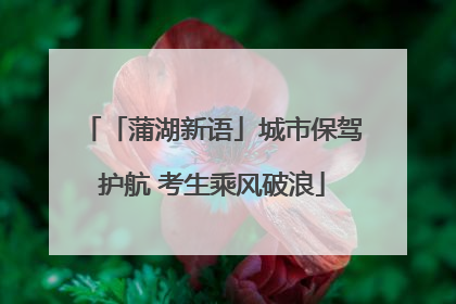 「蒲湖新语」城市保驾护航 考生乘风破浪