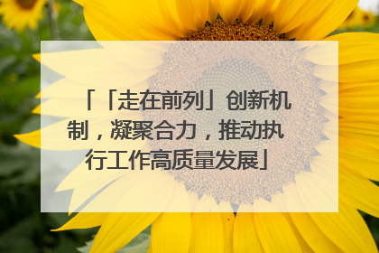 「走在前列」创新机制，凝聚合力，推动执行工作高质量发展