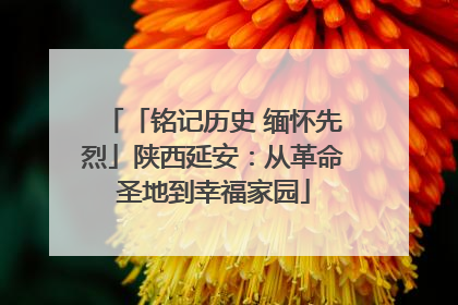 「铭记历史 缅怀先烈」陕西延安：从革命圣地到幸福家园