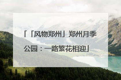 「风物郑州」郑州月季公园：一路繁花相迎