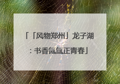 「风物郑州」龙子湖：书香氤氲正青春