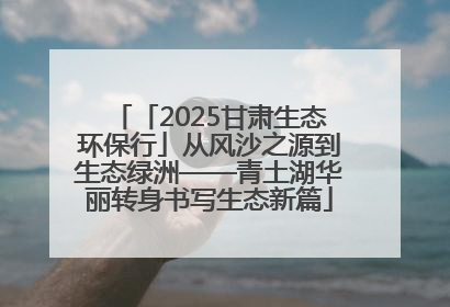 「2025甘肃生态环保行」从风沙之源到生态绿洲——青土湖华丽转身书写生态新篇