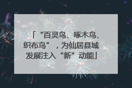 “百灵鸟、啄木鸟、织布鸟”，为仙居县域发展注入“新”动能
