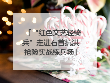 “红色文艺轻骑兵”走进石首抗洪抢险实战练兵场