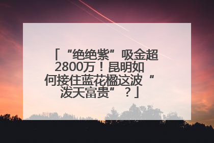 “绝绝紫”吸金超2800万！昆明如何接住蓝花楹这波“泼天富贵”？