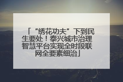 “绣花功夫”下到民生要处！泰兴城市治理智慧平台实现全时段联网全要素细治