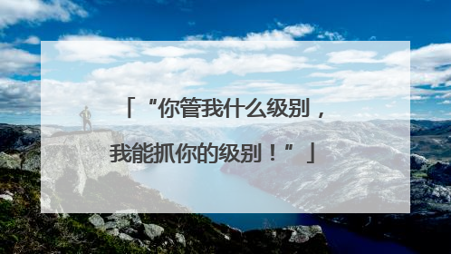 “你管我什么级别，我能抓你的级别！”