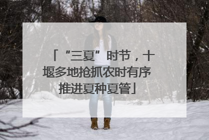“三夏”时节，十堰多地抢抓农时有序推进夏种夏管