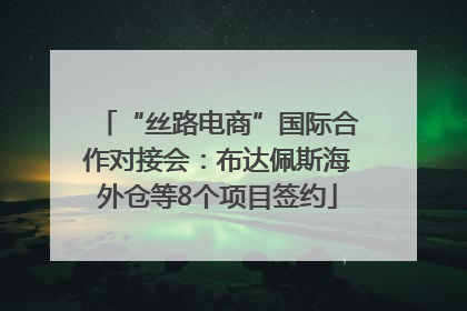 “丝路电商”国际合作对接会：布达佩斯海外仓等8个项目签约