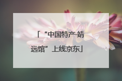 “中国特产·靖远馆”上线京东