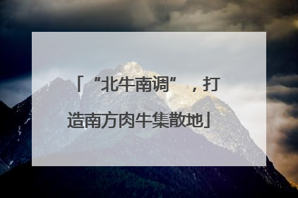 “北牛南调”，打造南方肉牛集散地