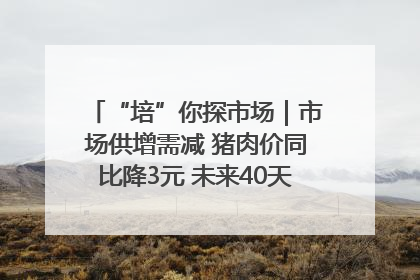 “培”你探市场｜市场供增需减 猪肉价同比降3元 未来40天便宜猪肉敞开吃