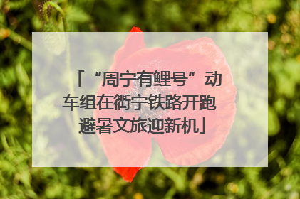 “周宁有鲤号”动车组在衢宁铁路开跑 避暑文旅迎新机