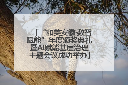 “和美安徽·数智赋能”年度颁奖典礼暨AI赋能基层治理主题会议成功举办