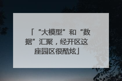 “大模型”和“数据”汇聚，经开区这座园区很酷炫