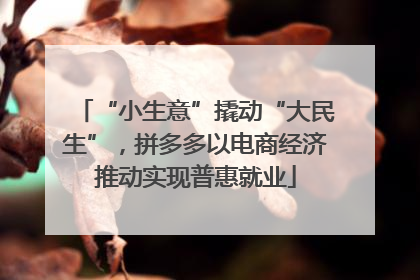 “小生意”撬动“大民生”，拼多多以电商经济推动实现普惠就业