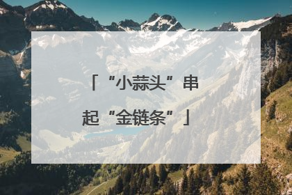 “小蒜头”串起“金链条”