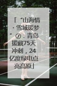 “山海情・雪域援梦”⑦：青岛援藏75天冲刺，24亿度绿电点亮高原