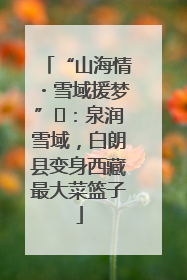 “山海情・雪域援梦”⑪：泉润雪域，白朗县变身西藏最大菜篮子