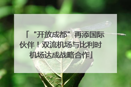 “开放成都”再添国际伙伴！双流机场与比利时机场达成战略合作