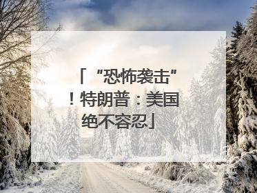“恐怖袭击”！特朗普：美国绝不容忍