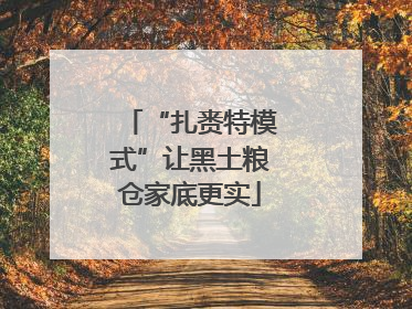 “扎赉特模式”让黑土粮仓家底更实