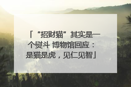 “招财猫”其实是一个熨斗 博物馆回应：是猫是虎，见仁见智