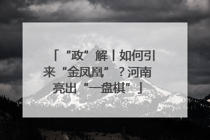 “政”解丨如何引来“金凤凰”？河南亮出“一盘棋”
