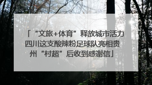 “文旅+体育”释放城市活力 四川这支酸辣粉足球队亮相贵州“村超”后收到感谢信