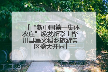 “新中国第一集体农庄”焕发新彩！桦川县星火稻乡旅游景区盛大开园
