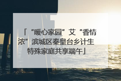 “暖心家园”艾“香情浓”滨城区秦皇台乡计生特殊家庭共享端午