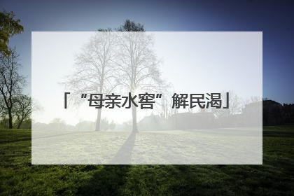 “母亲水窖”解民渴