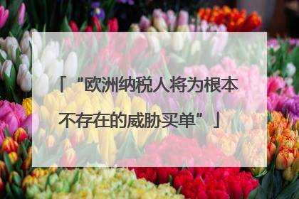 “欧洲纳税人将为根本不存在的威胁买单”