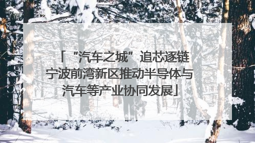 “汽车之城”追芯逐链 宁波前湾新区推动半导体与汽车等产业协同发展