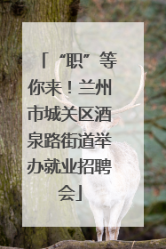 “职”等你来！兰州市城关区酒泉路街道举办就业招聘会