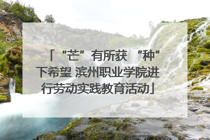 “芒”有所获 “种”下希望 滨州职业学院进行劳动实践教育活动