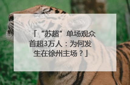 “苏超”单场观众首超3万人：为何发生在徐州主场？