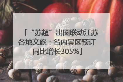 “苏超”出圈联动江苏各地文旅：省内景区预订同比增长305%