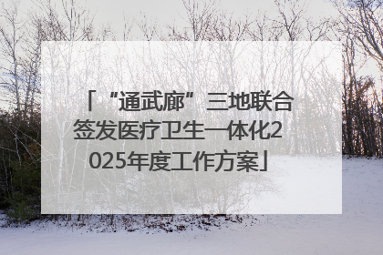 “通武廊”三地联合签发医疗卫生一体化2025年度工作方案