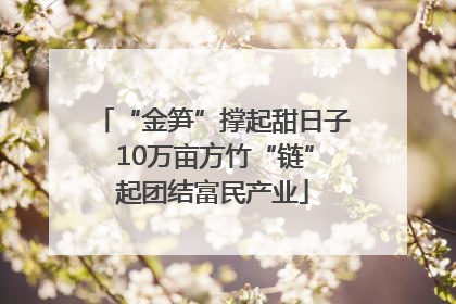 “金笋”撑起甜日子 10万亩方竹“链”起团结富民产业
