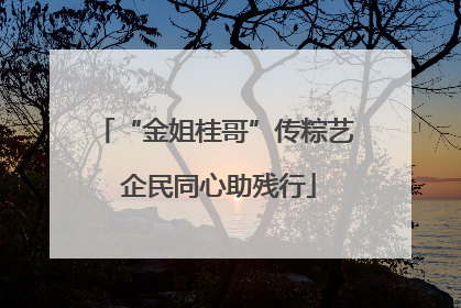 “金姐桂哥”传粽艺 企民同心助残行