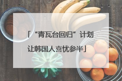 “青瓦台回归”计划让韩国人喜忧参半