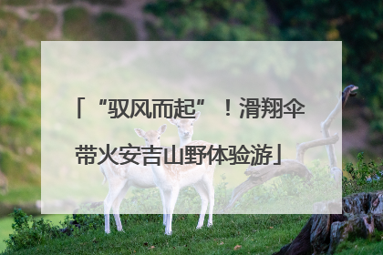 “驭风而起”！滑翔伞带火安吉山野体验游