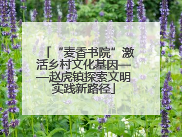 “麦香书院”激活乡村文化基因——赵虎镇探索文明实践新路径